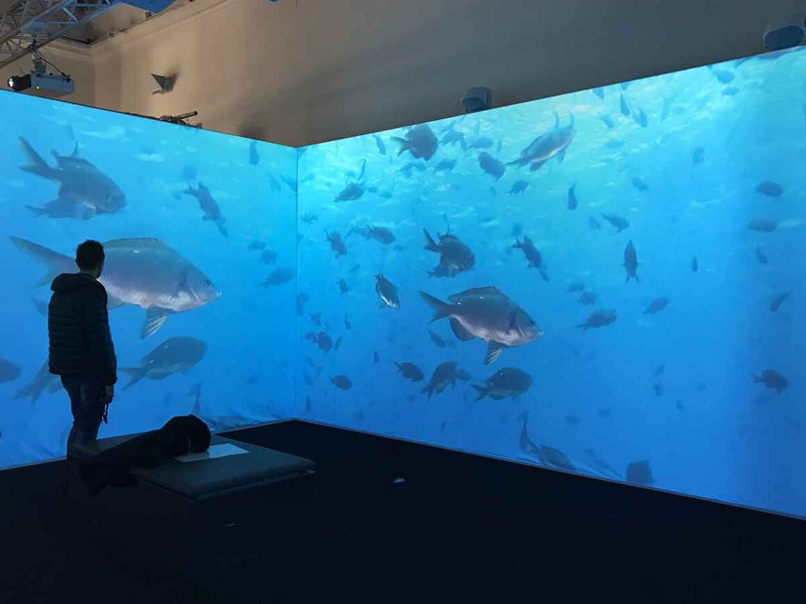 Mostra sul cambiamento climatico a Napoli: fondale marino