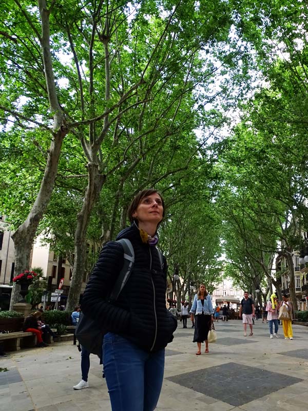 Cosa vedere a Palma di Maiorca: Passeig del Born